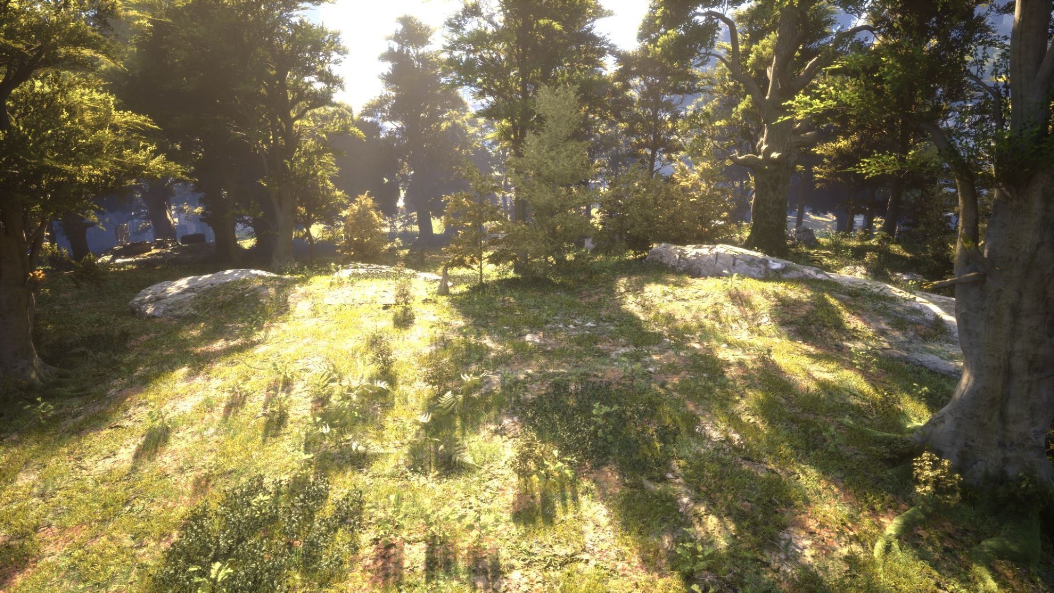 SELL 2 PLOTS > Dolavon Island (Holy side) ⚜️ [EU] Server: Tyr ⚜️ Province: Kerys